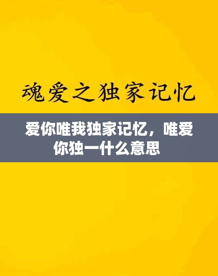 爱你唯我独家记忆，唯爱你独一什么意思 