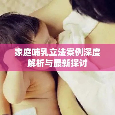 家庭哺乳立法案例深度解析与最新探讨