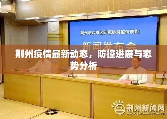 荆州疫情最新动态,防控进展与态势分析