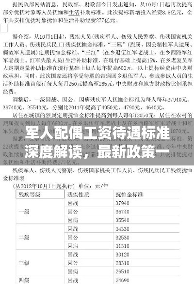 军人配偶工资待遇标准深度解读,最新政策一览