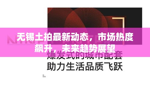 无锡土拍最新动态，市场热度飙升，未来趋势展望