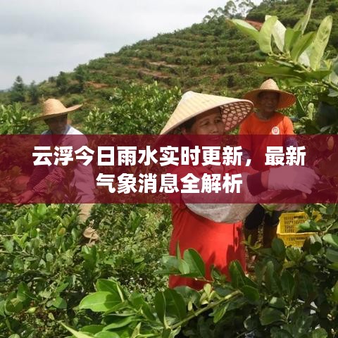 云浮今日雨水实时更新，最新气象消息全解析