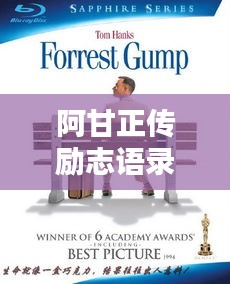 阿甘正传励志语录，人生就像巧克力，永远充满惊喜与感动！