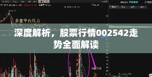 深度解析,股票行情002542走势全面解读