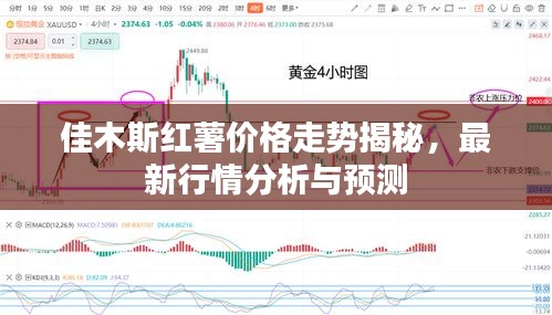 佳木斯红薯价格走势揭秘，最新行情分析与预测