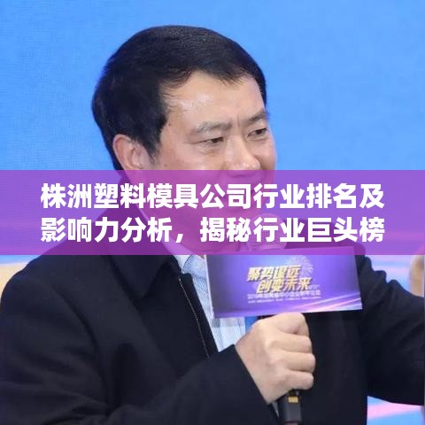株洲塑料模具公司行业排名及影响力分析，揭秘行业巨头榜单