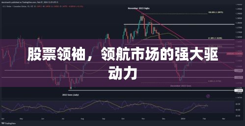 股票领袖，领航市场的强大驱动力