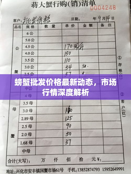 螃蟹批发价格最新动态，市场行情深度解析