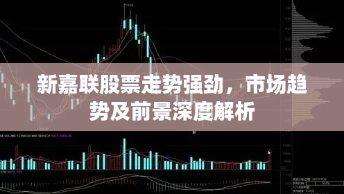 新嘉联股票走势强劲，市场趋势及前景深度解析