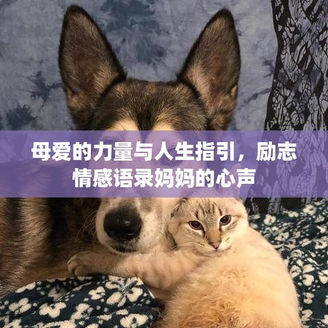 母爱的力量与人生指引,励志情感语录妈妈的心声