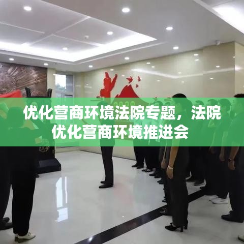 优化营商环境法院专题,法院优化营商环境推进会