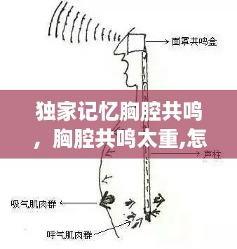 独家记忆胸腔共鸣，胸腔共鸣太重,怎么去掉 
