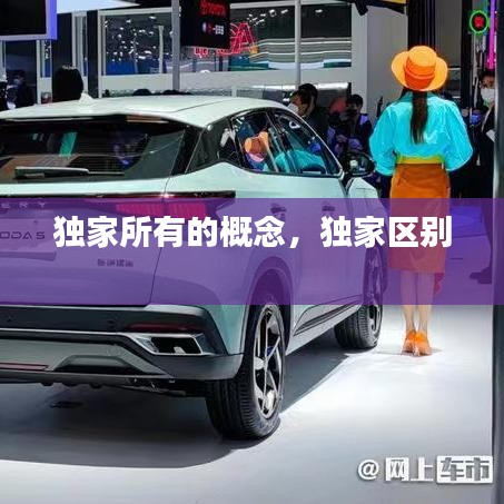 独家所有的概念，独家区别 