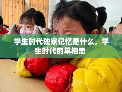 学生时代独家记忆是什么,学生时代的单相思