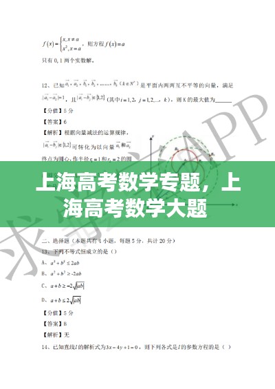 上海高考数学专题，上海高考数学大题 