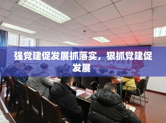 强党建促发展抓落实，狠抓党建促发展 