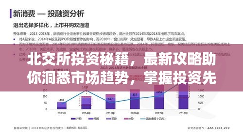 北交所投资秘籍，最新攻略助你洞悉市场趋势，掌握投资先机