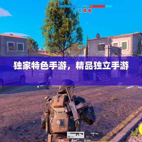 独家特色手游,精品独立手游