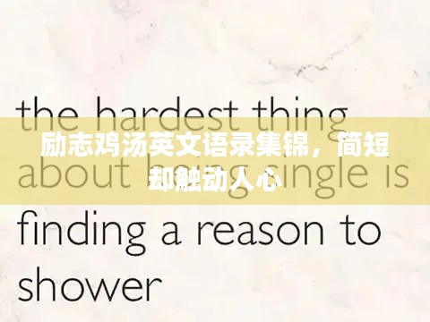 励志鸡汤英文语录集锦,简短却触动人心