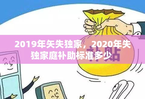 2019年矢失独家,2020年失独家庭补助标准多少