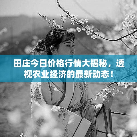 田庄今日价格行情大揭秘,透视农业经济的最新动态!