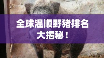 盖世英雄 第2页