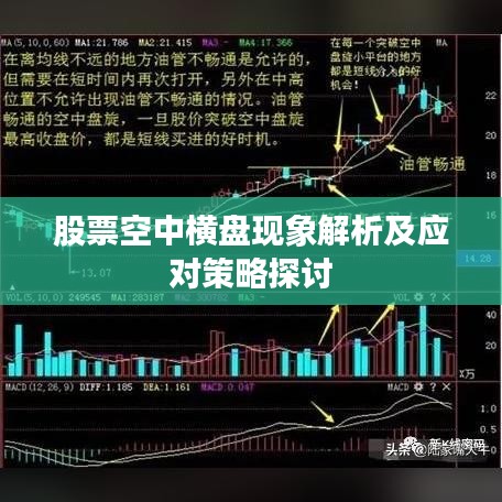 张弓拔弩 第2页