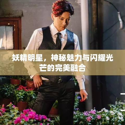 妖精明星,神秘魅力与闪耀光芒的完美融合