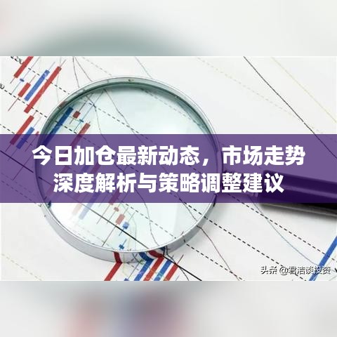 今日加仓最新动态,市场走势深度解析与策略调整建议