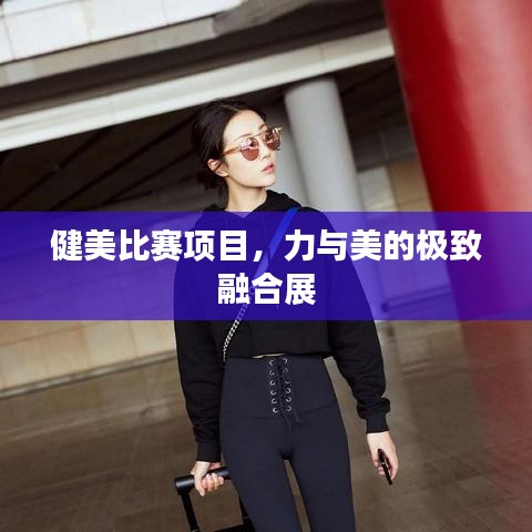 健美比赛项目，力与美的极致融合展